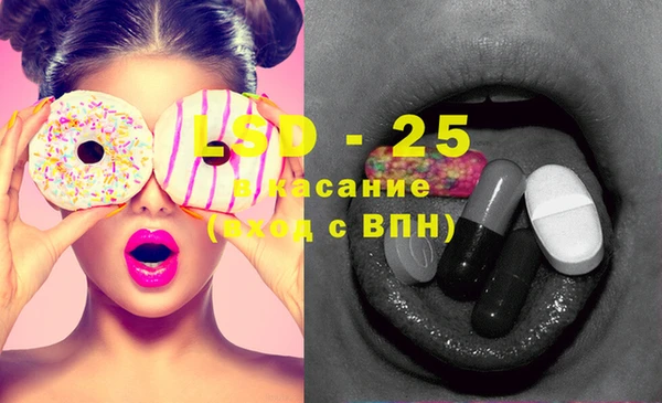 стаф Надым