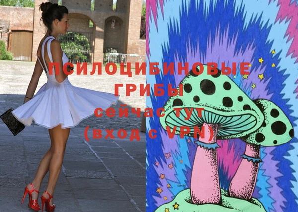 стаф Надым