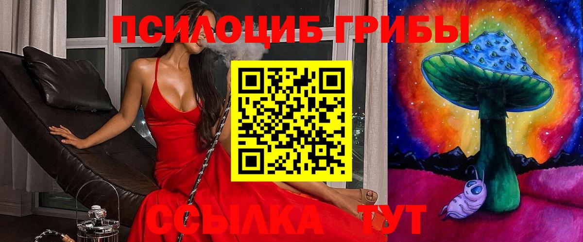 Псилоцибиновые грибы ЛСД Великий Новгород