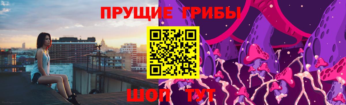 Великий Новгород  Галлюциногенные грибы Psilocybe  Вход с VPN 